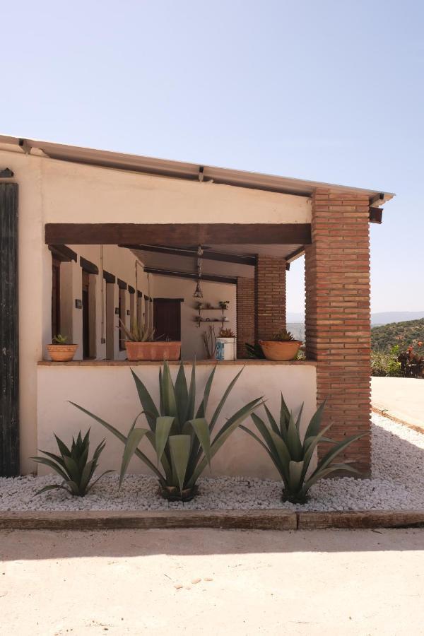 The Wild Olive Andalucia Palma Guestroom Casares Exterior photo