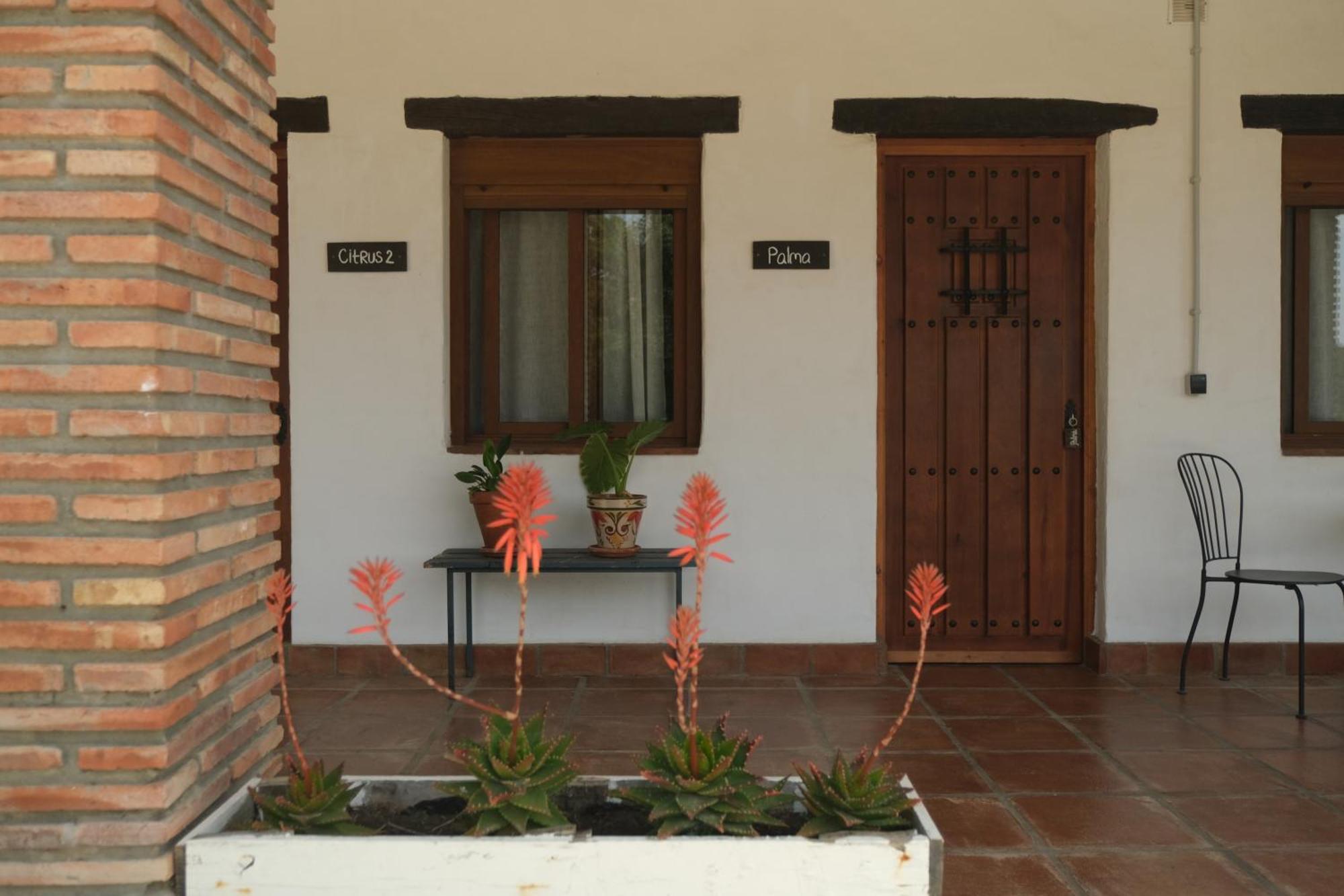 The Wild Olive Andalucia Palma Guestroom Casares Exterior photo